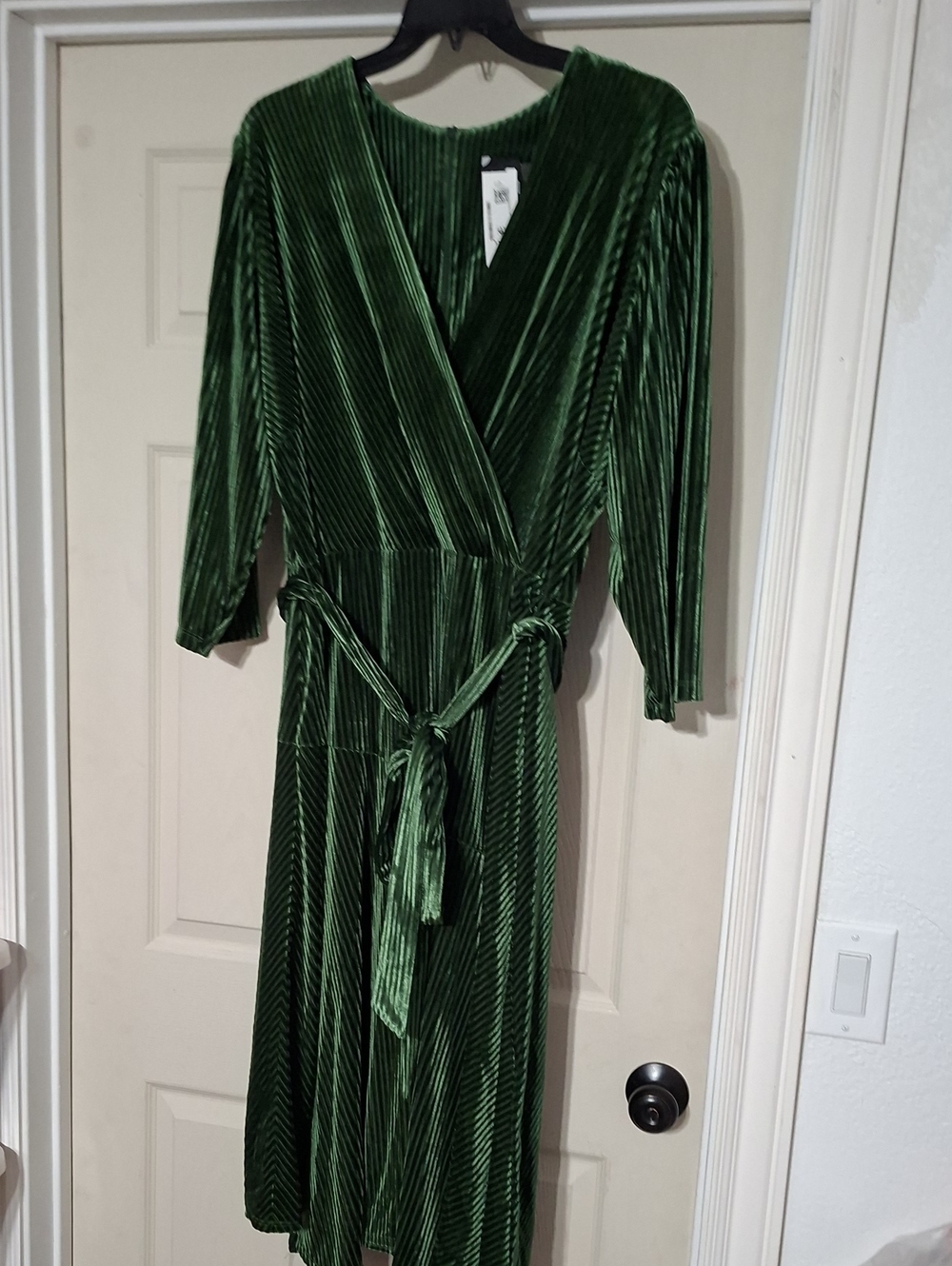 NWT Maison Tara Shimmery Green Velvet Dress